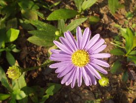 d0093936_21412921.jpg