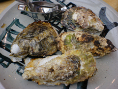 e0005548_23231296.jpg
