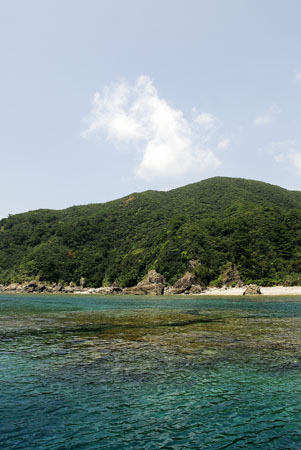 b0062363_2314412.jpg