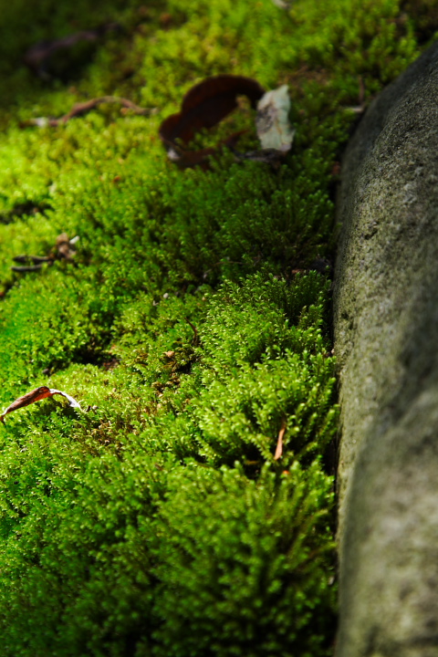 b0027267_22143673.jpg