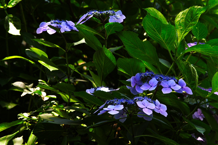 b0027267_2215632.jpg