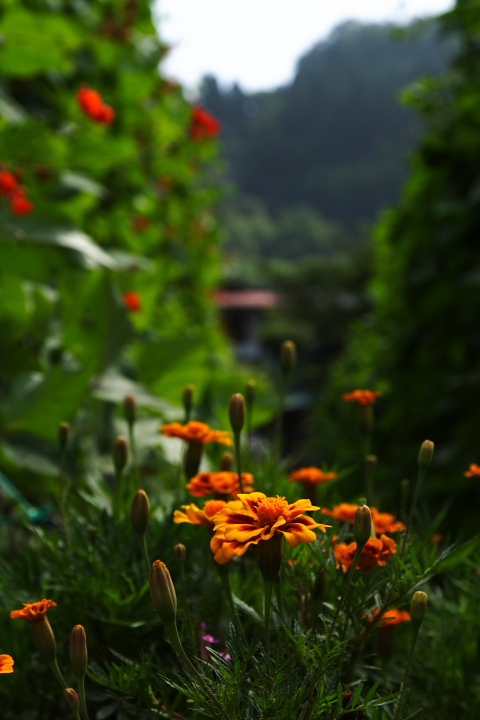 b0027267_22165740.jpg
