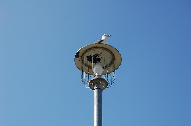 c0048667_1512510.jpg