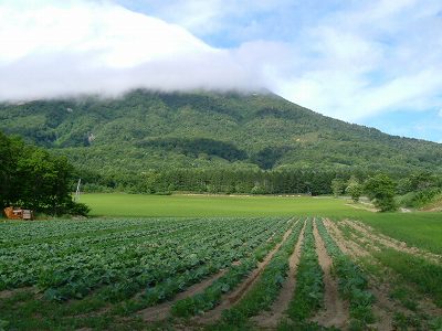 e0122168_17163449.jpg