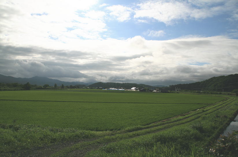 c0112479_816396.jpg
