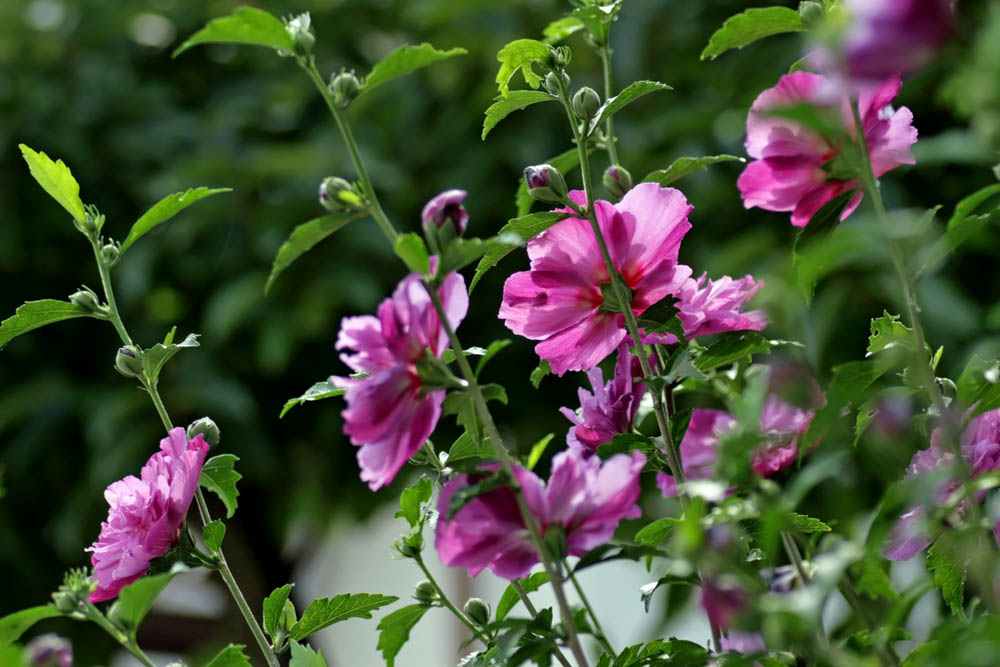 a0083081_1761389.jpg