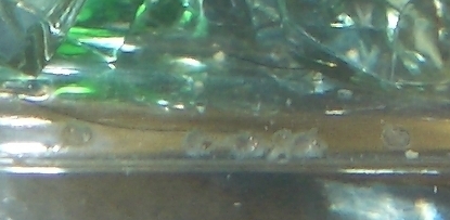 e0069481_8361116.jpg