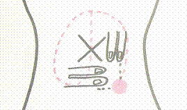e0118683_20475048.gif