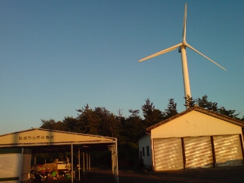 f0137483_9505560.jpg