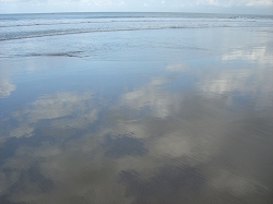 b0101284_133880.jpg