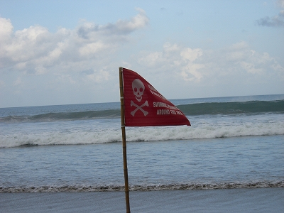 b0101284_144239.jpg