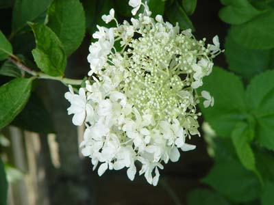 e0008586_23484088.jpg