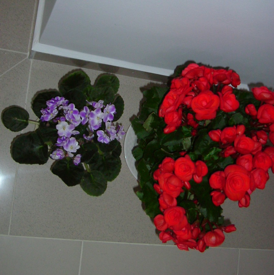 e0118096_3463082.jpg