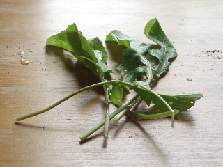 c0114797_2213765.jpg