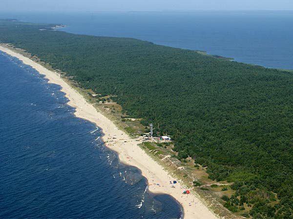 f0129897_8201294.jpg