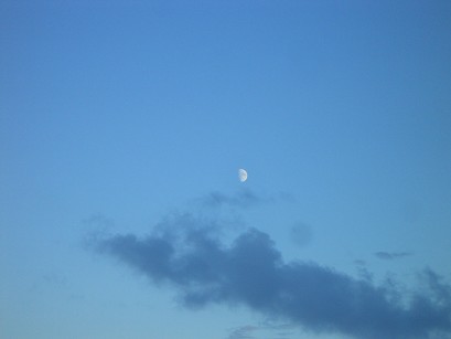 b0110999_5334150.jpg