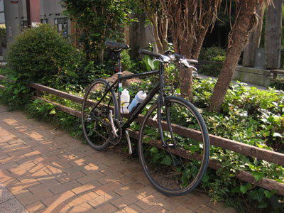 b0097200_16163623.jpg