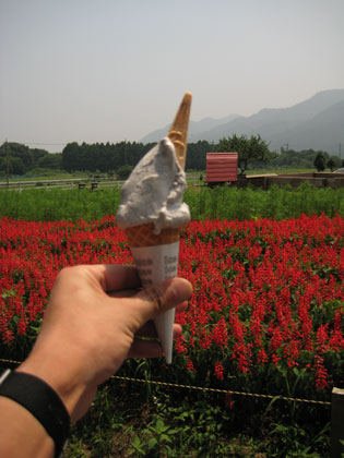 b0097200_164918.jpg