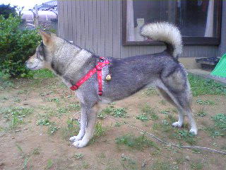f0079202_12232480.jpg