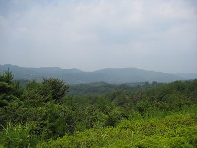 b0029704_1531076.jpg