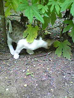 c0103205_19285873.jpg