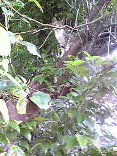 c0103205_1930461.jpg