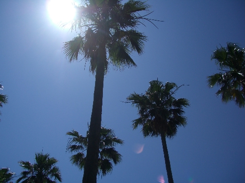 c0110906_2158152.jpg