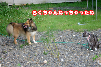 a0041108_1203585.jpg