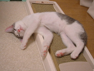 c0006312_16572448.jpg