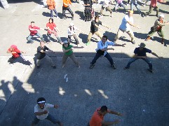 c0000816_029542.jpg