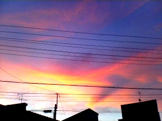 e0071923_9462490.jpg