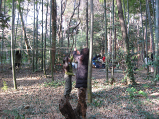 c0057325_235284.jpg