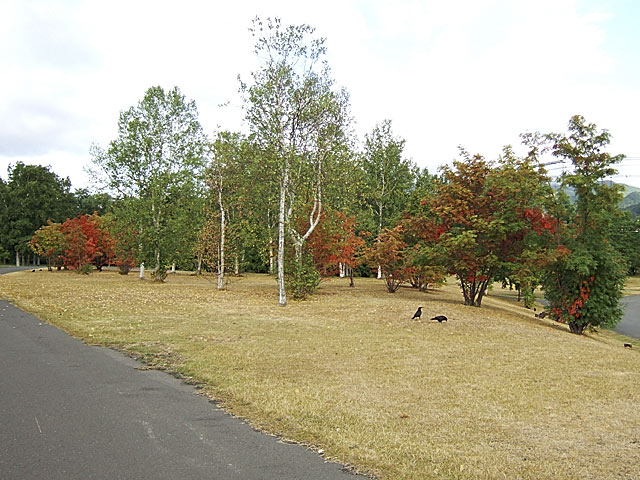 b0085526_7245997.jpg