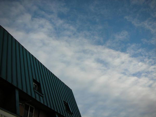 d0075131_0221776.jpg