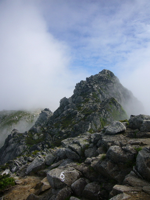 d0075131_1937853.jpg
