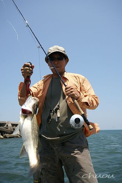 f0146531_1641876.jpg