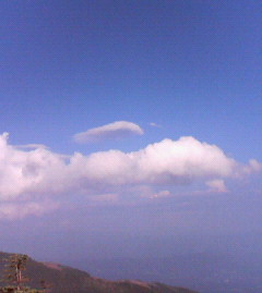 c0118536_23391892.jpg