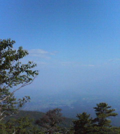 c0118536_2339270.jpg
