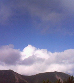c0118536_23393473.jpg