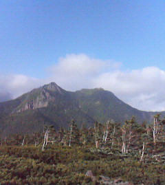 c0118536_234069.jpg