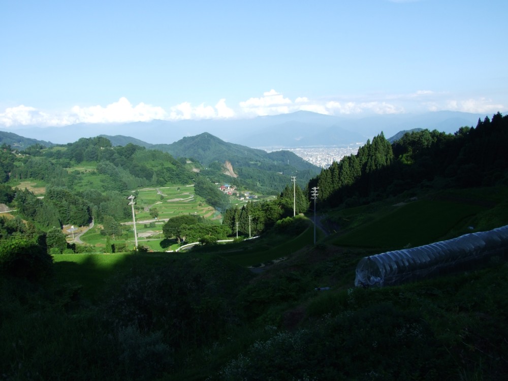 d0117039_22355942.jpg