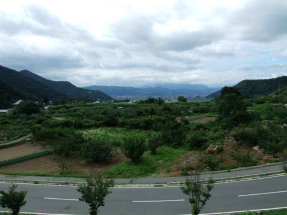 d0117039_2235828.jpg
