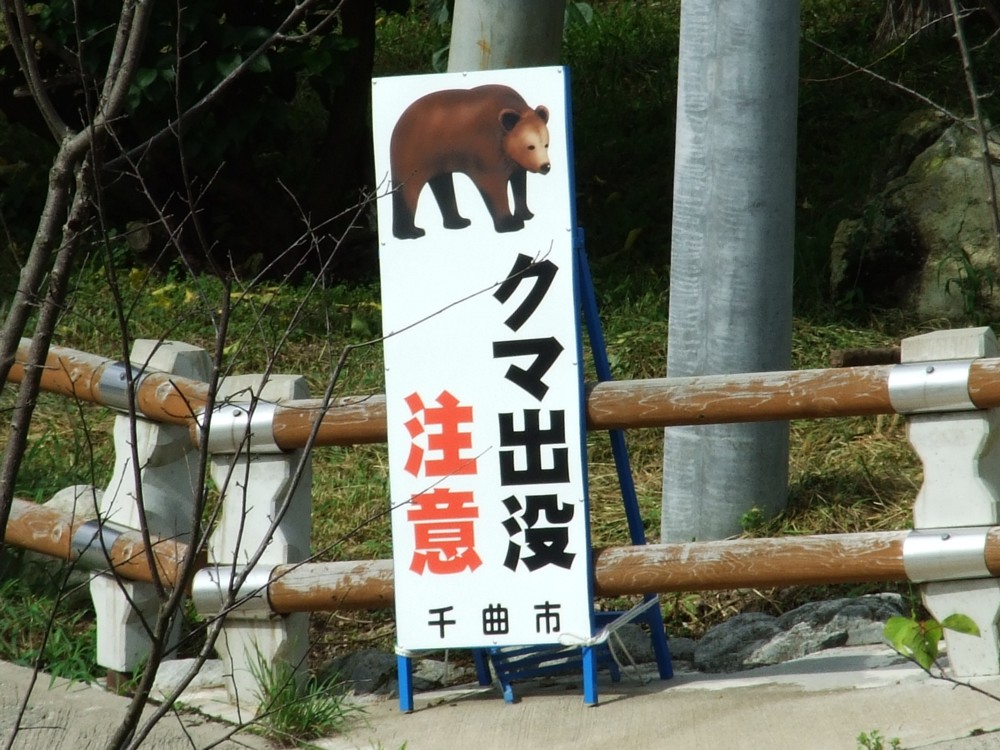 d0117039_22361376.jpg