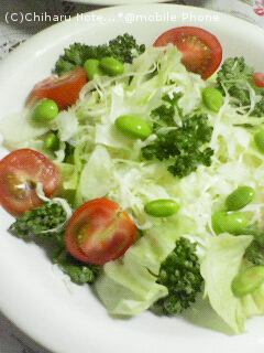 c0046340_21473949.jpg