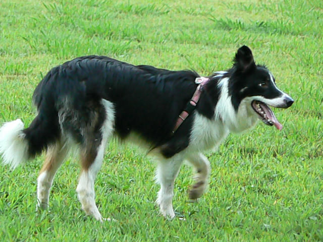 d0077740_16122938.jpg