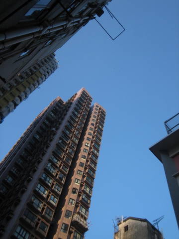 e0018143_20113360.jpg