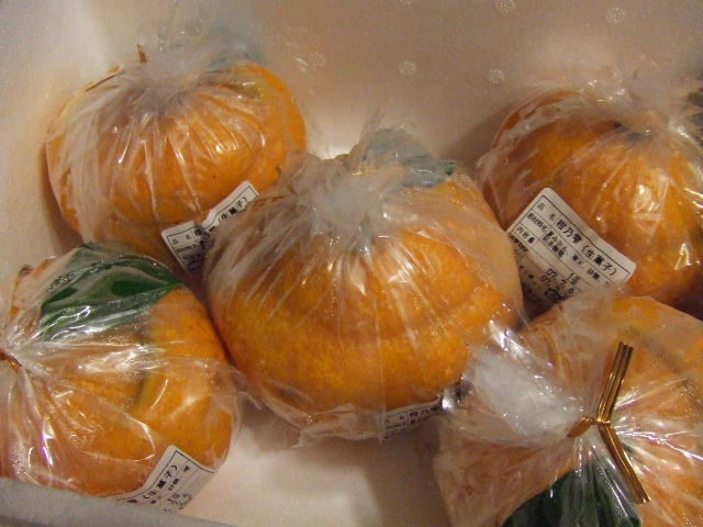 c0071545_1759921.jpg