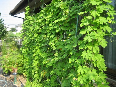 d0031853_0521786.jpg