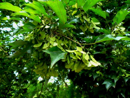 d0091754_18234083.jpg