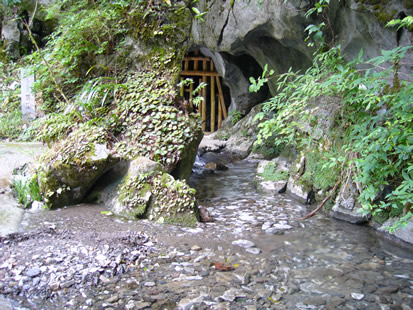 f0067354_23482580.jpg